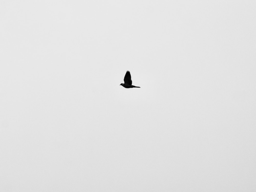 Sound Art Print
