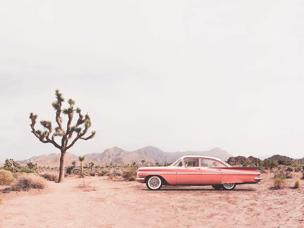 In The Desert Art Print