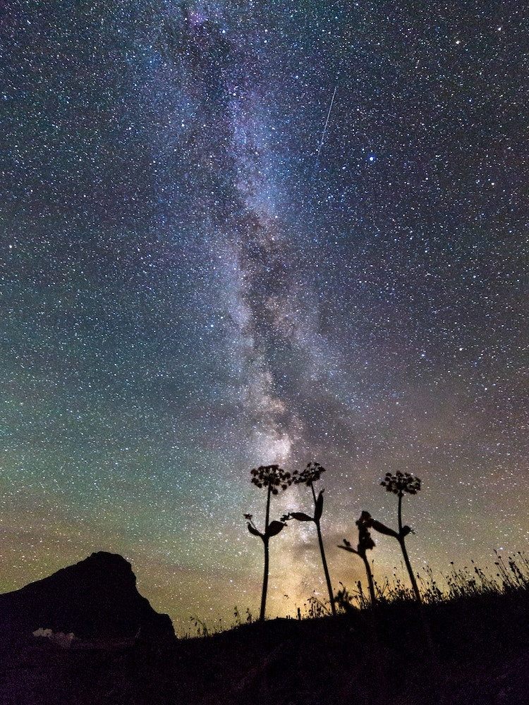 The Milky Way From Montana Art Print