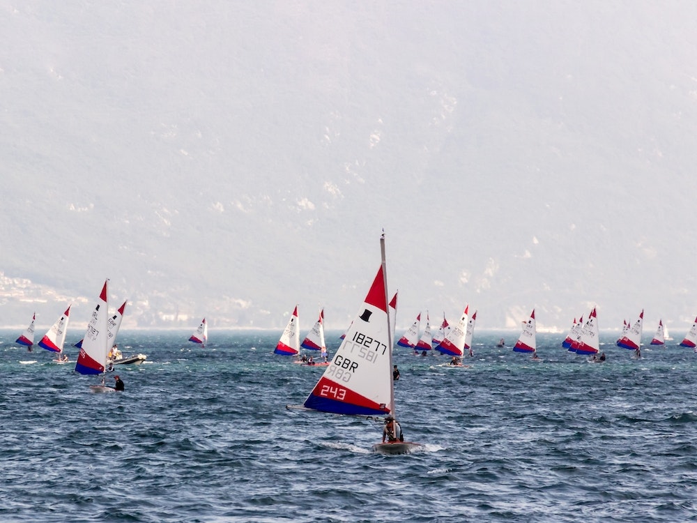 Laser Sailing Regatta Art Print