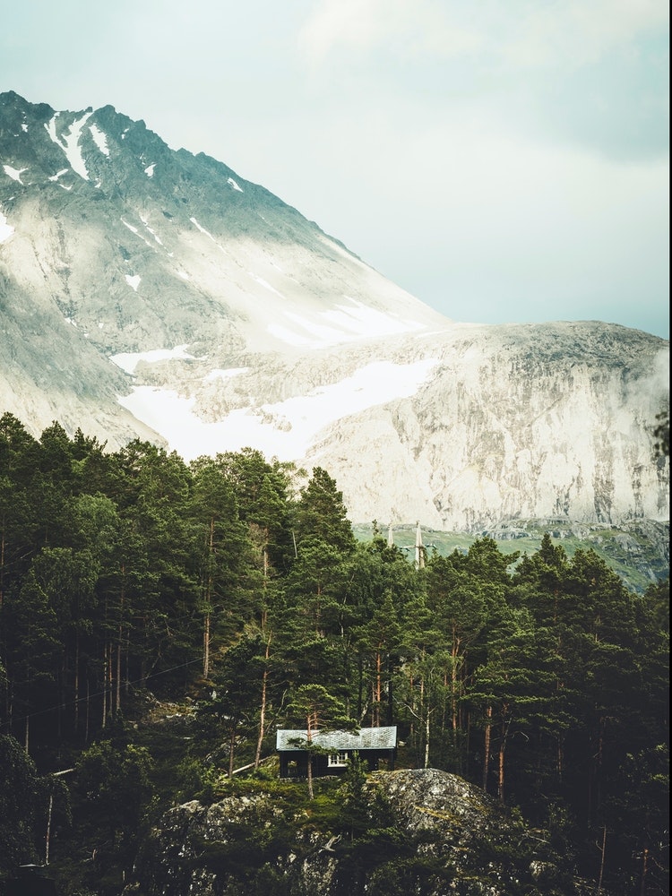 House In The Mountains in Norway Art Print