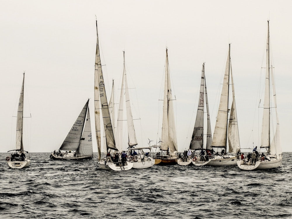Sailboat Regatta Art Print