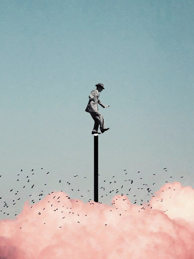 Balancing On One Leg Above The Clouds Art Print