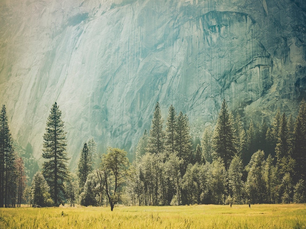 Yosemite Valley Art Print