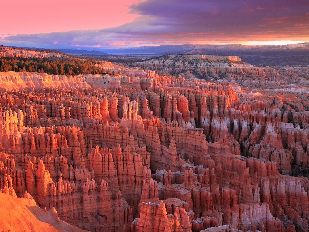 Bryce Canyon National Park, Utah Art Print